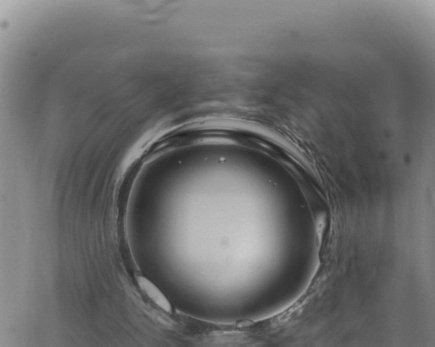 X0000062140150200512161226