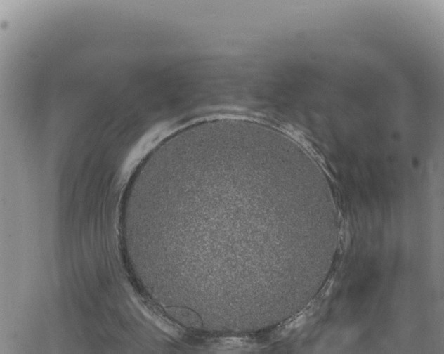 X0000062140151200512161226