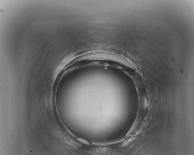 X0000062140152200512161226