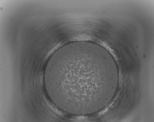 X0000062140153200512161226