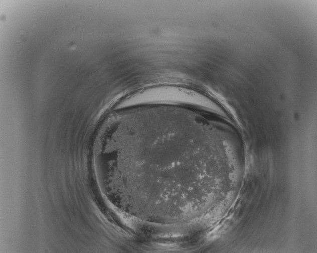 X0000062140154200512161226