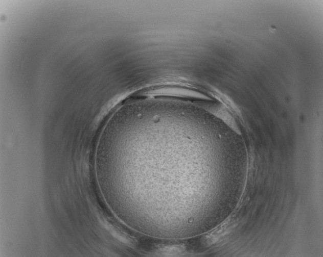 X0000062140155200512161226