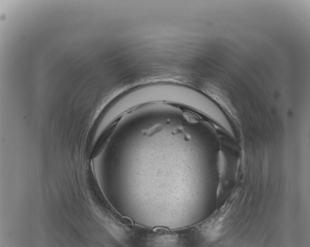 X0000062140156200512161226