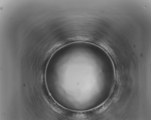 X0000062140157200512161226