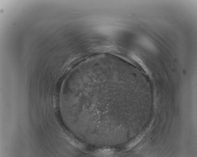 X0000062140161200512161227