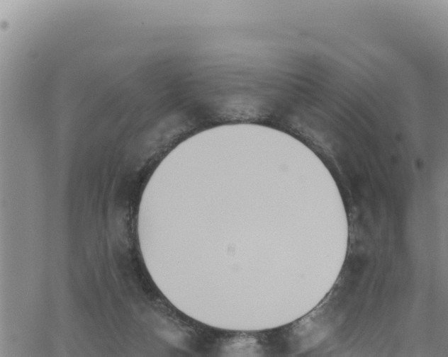 X0000062140162200512161227