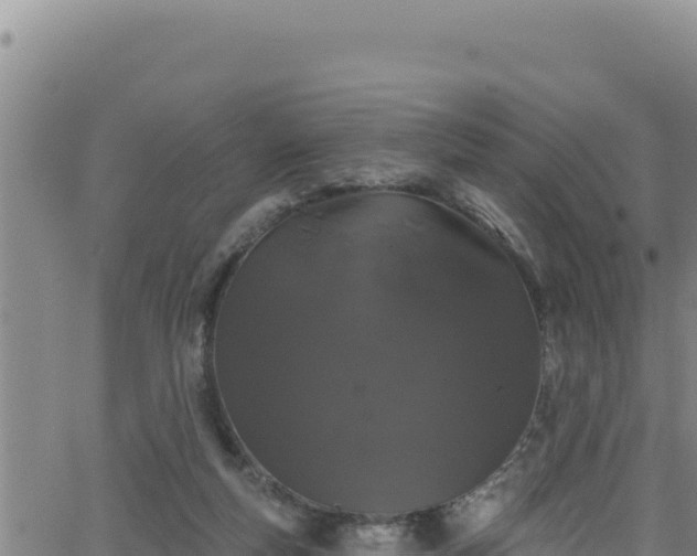 X0000062140163200512161227