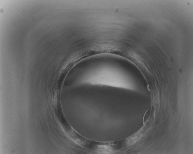 X0000062140167200512161227