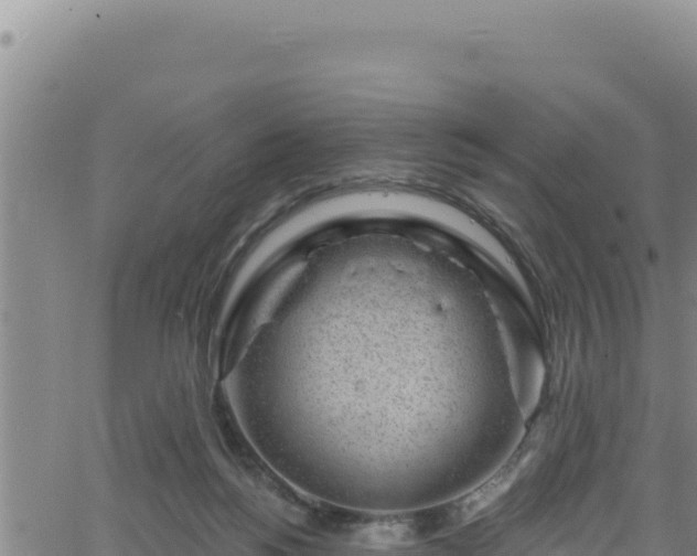 X0000062140168200512161227