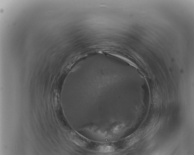 X0000062140169200512161227