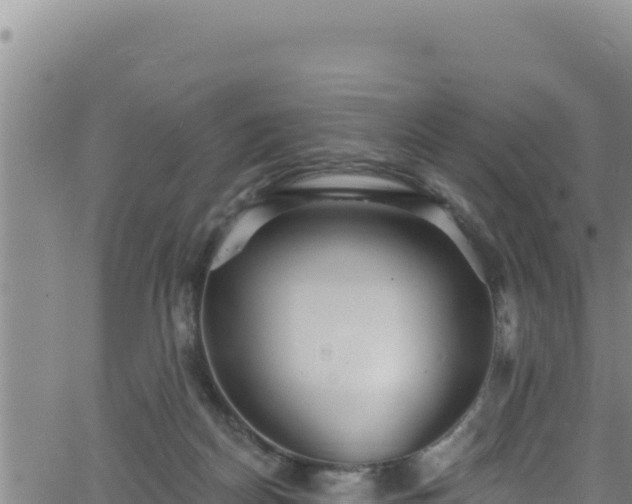 X0000062140170200512161227