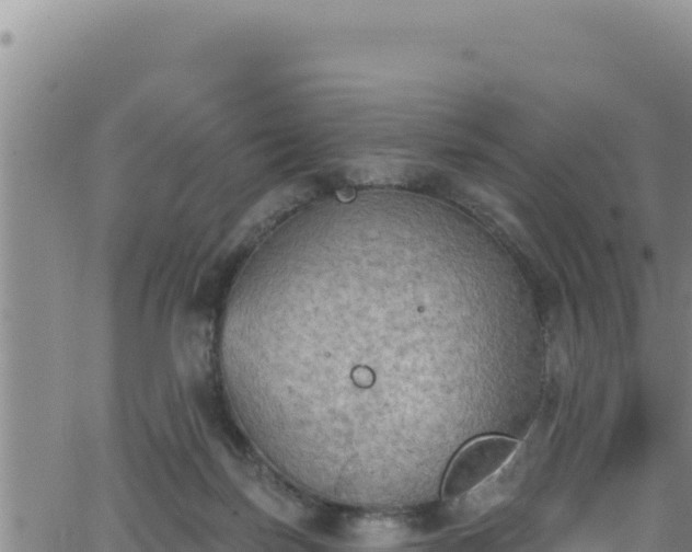 X0000062140171200512161227