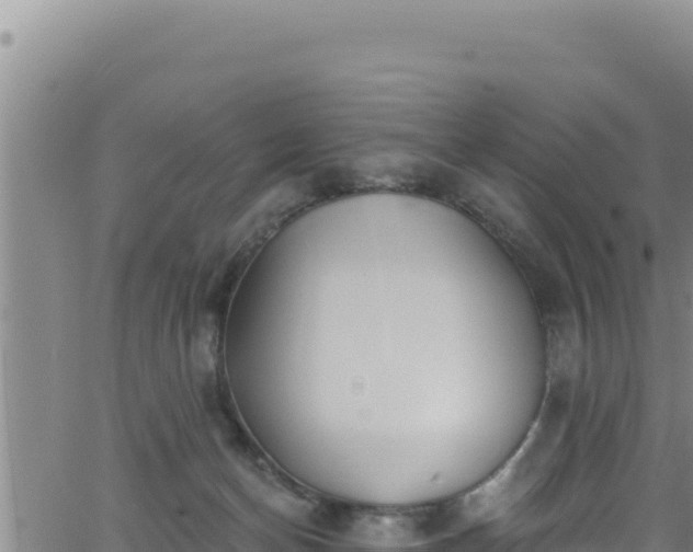 X0000062140174200512161227