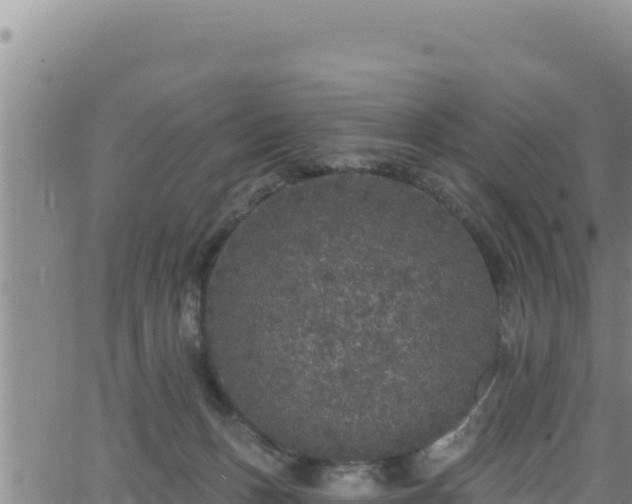 X0000062140175200512161227