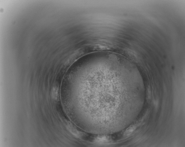 X0000062140177200512161227