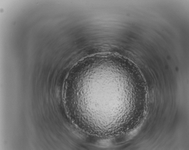 X0000062140178200512161227