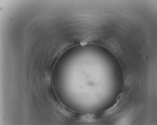 X0000062140179200512161227