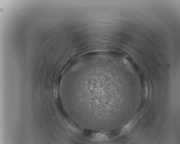 X0000062140180200512161227