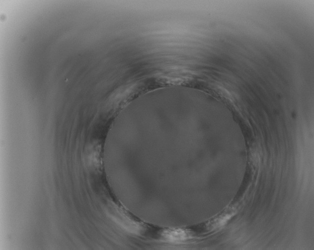 X0000062140181200512161227