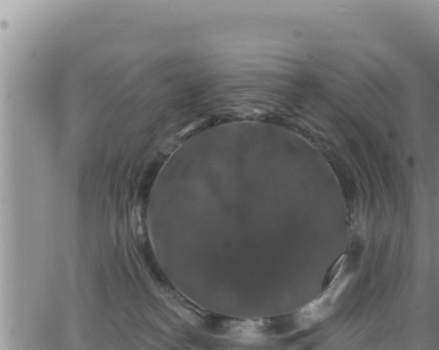 X0000062140182200512161227