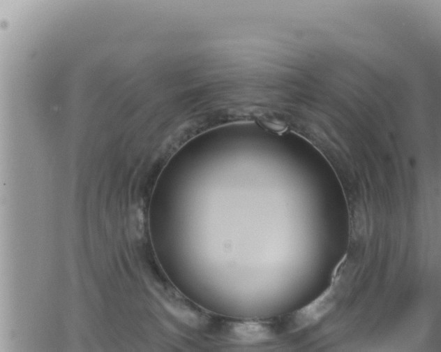 X0000062140183200512161227