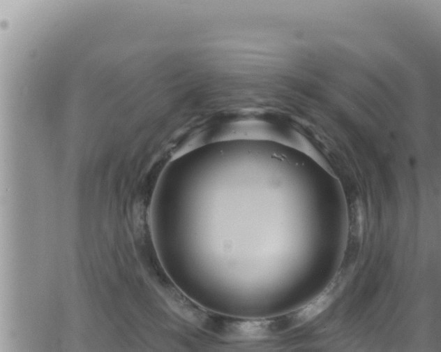 X0000062140184200512161227