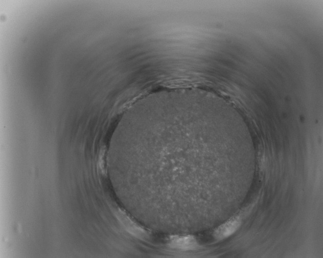 X0000062140185200512161227