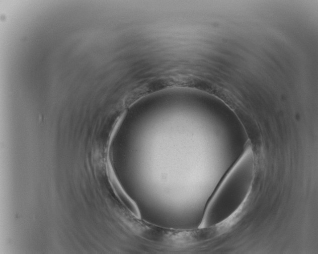 X0000062140186200512161227