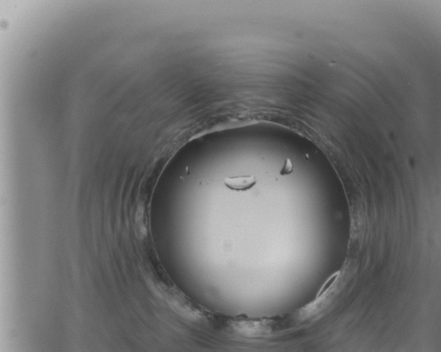 X0000062140187200512161227