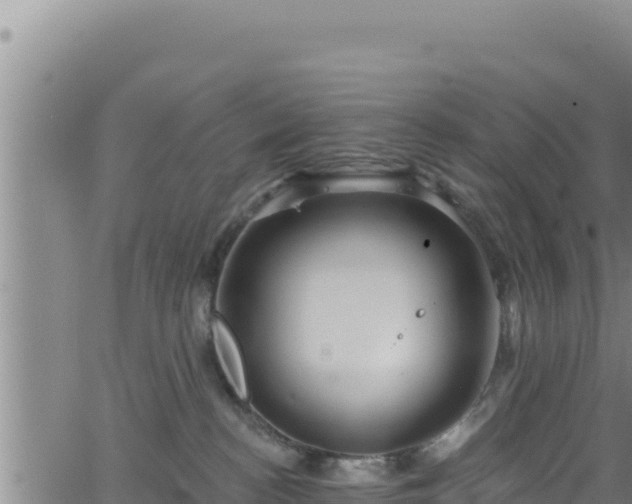 X0000062140188200512161227