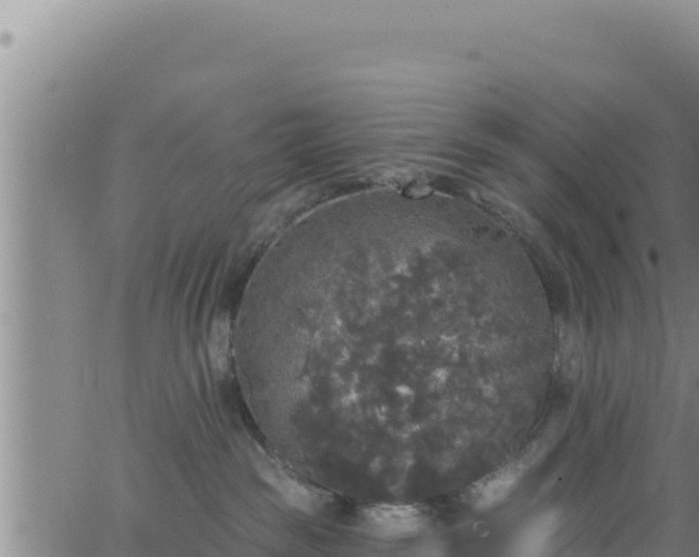 X0000062140189200512161227