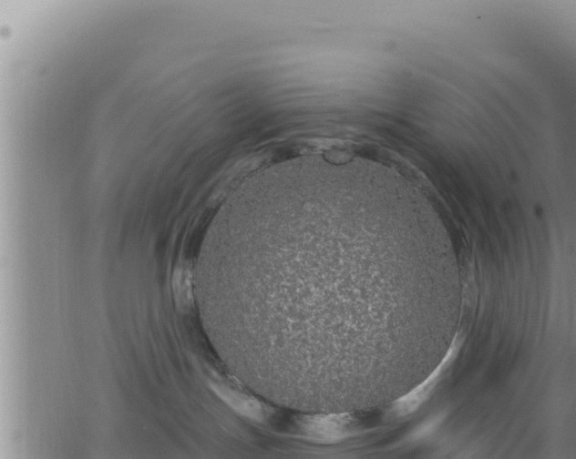 X0000062140191200512161227