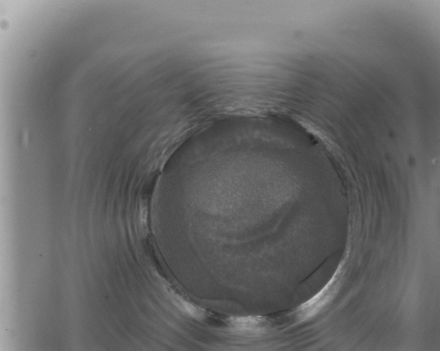 X0000062140192200512161227