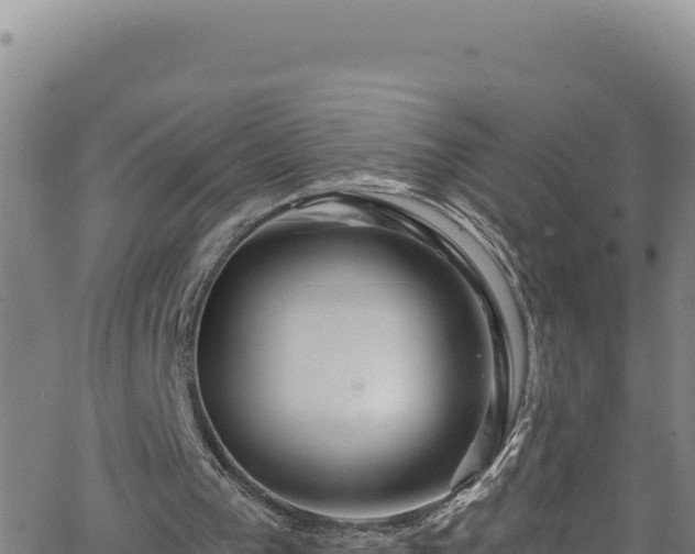 X0000062140193200512161226