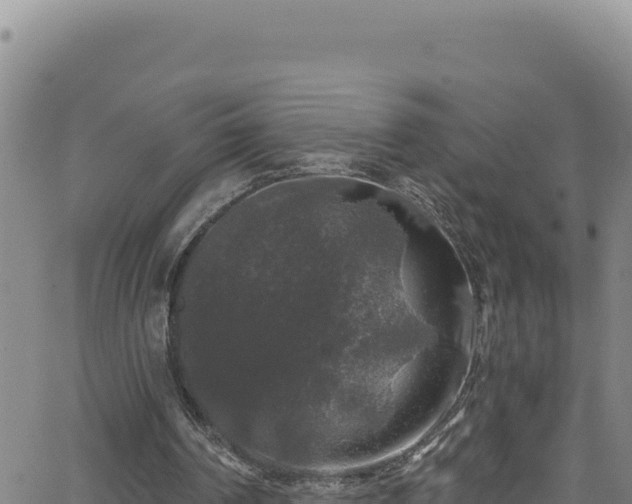 X0000062140194200512161226