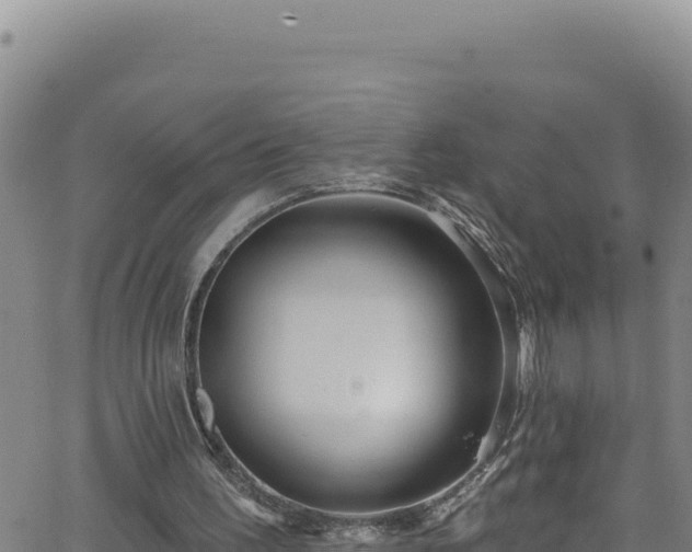 X0000062140195200512161226