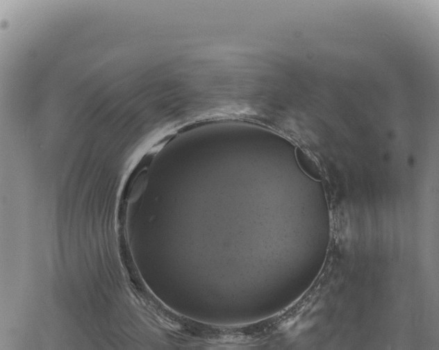 X0000062140196200512161226