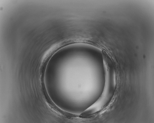 X0000062140197200512161226