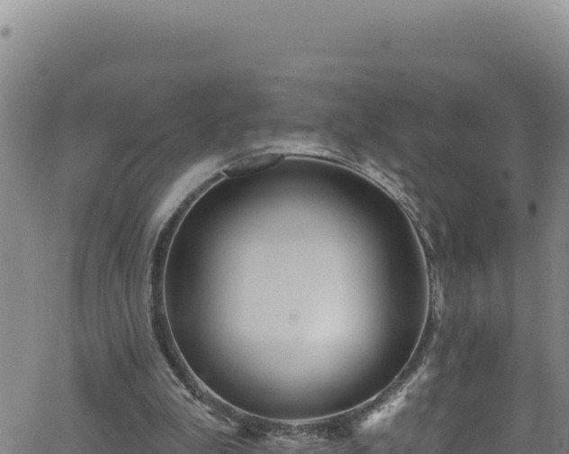 X0000062140199200512161226