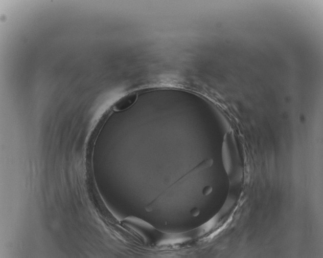 X0000062140200200512161226