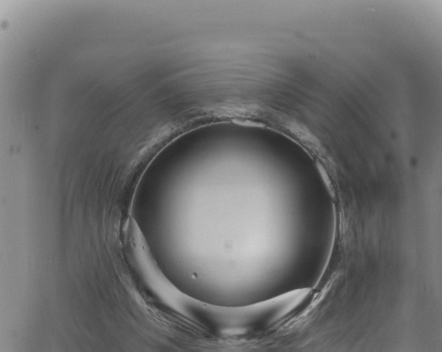 X0000062140201200512161226