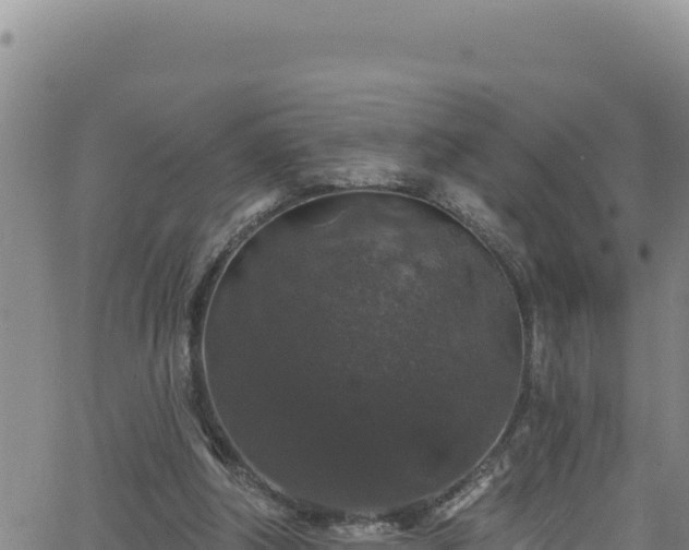 X0000062140202200512161226