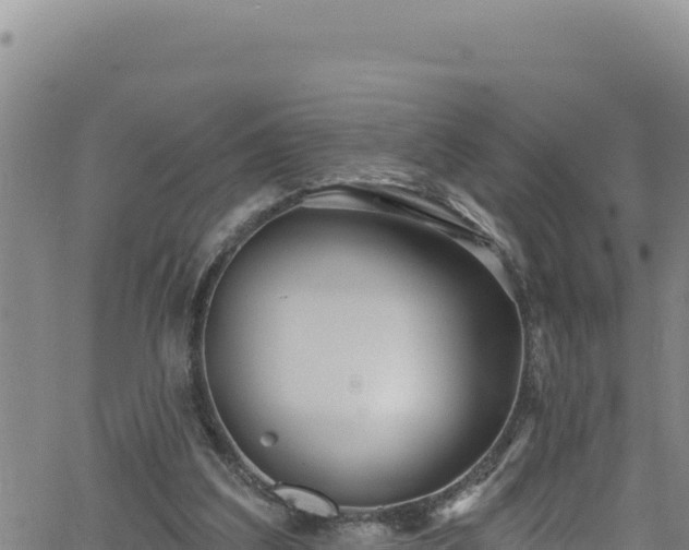 X0000062140203200512161226