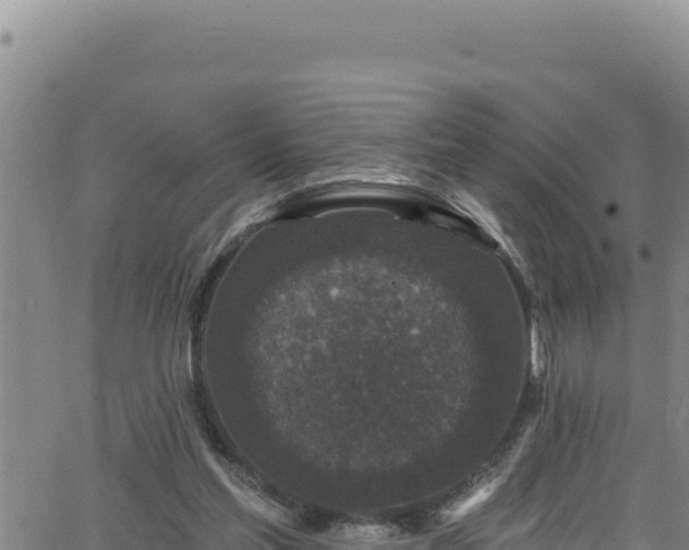 X0000062140205200512161226