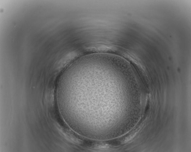 X0000062140206200512161226