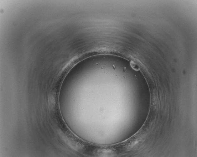 X0000062140208200512161226