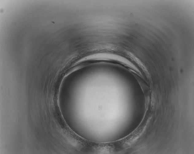 X0000062140209200512161226