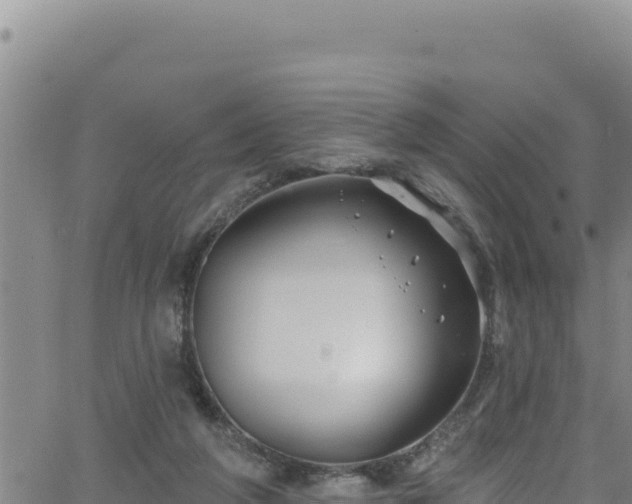 X0000062140210200512161226