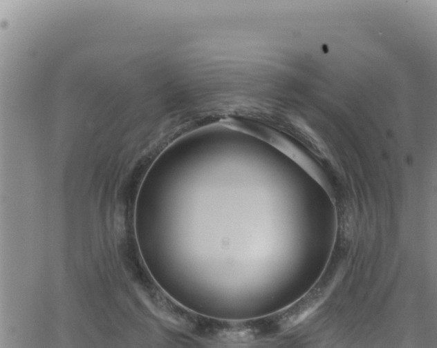 X0000062140213200512161226