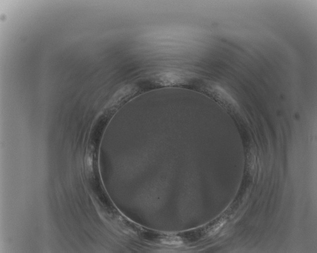 X0000062140214200512161226